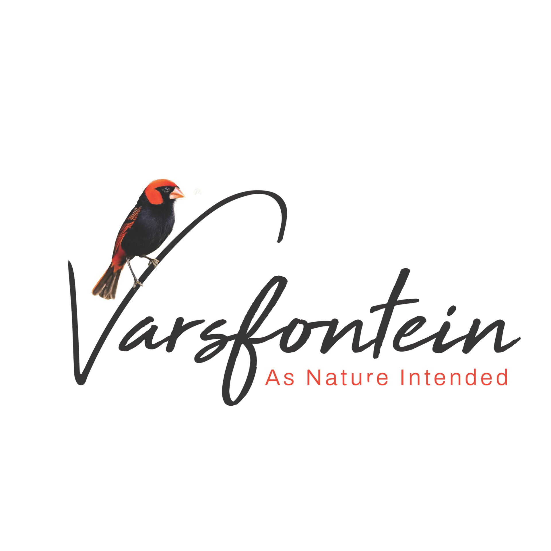 Varsfontein